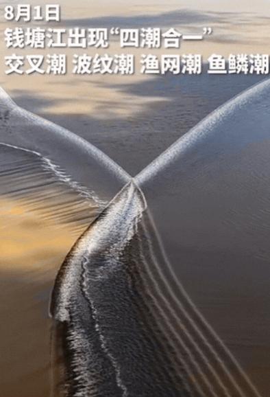 “解释不清了！”男子准备用无人机拍钱塘江，结果，无人机刚飞上去，就遇到了罕见一幕