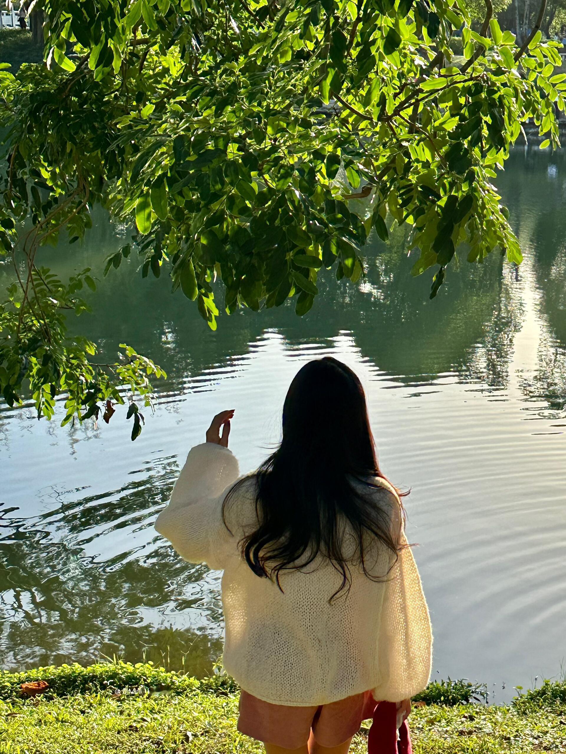 深圳公园｜又到了深圳最舒服的季节🍃⛲️好喜欢秋风起微凉的季节公园真的很舒服～深