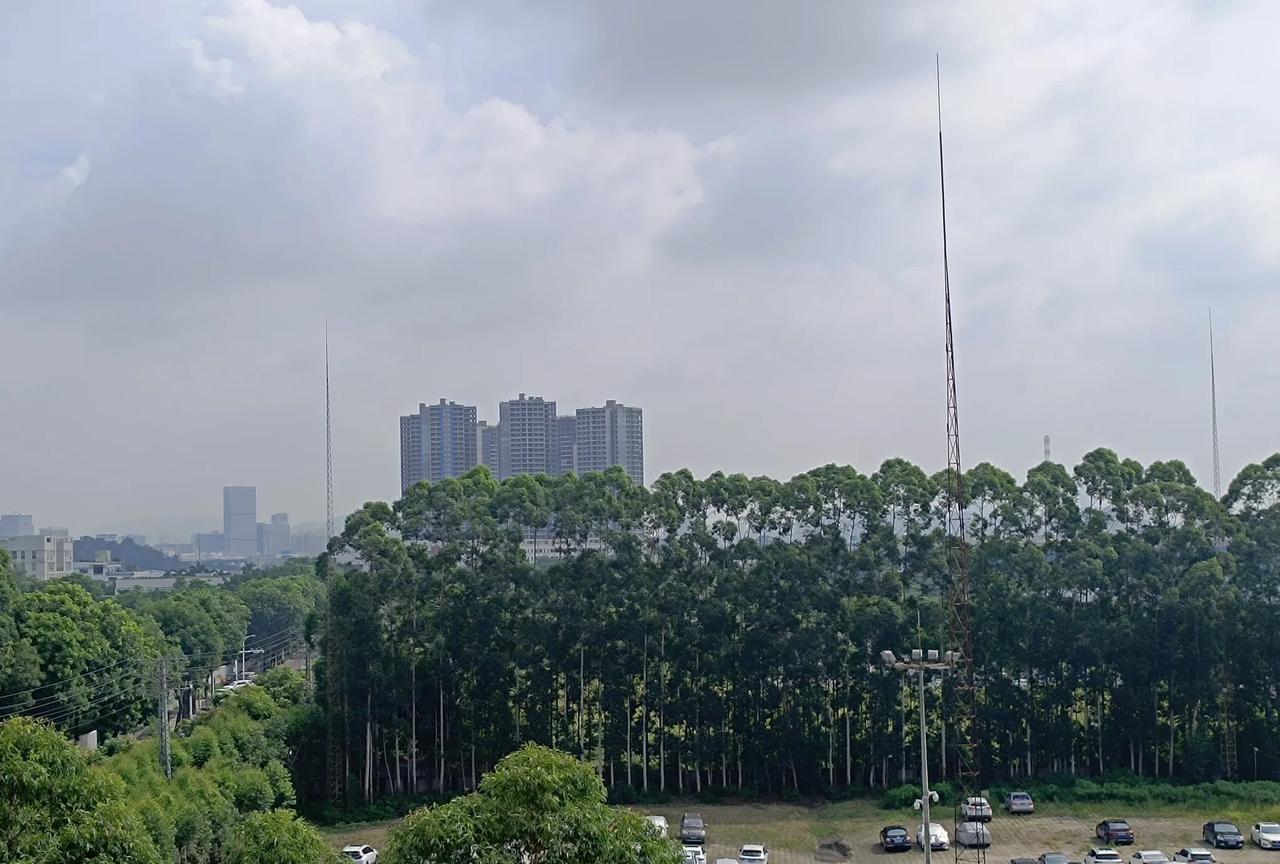 真正胆子大又聪明的人应该是现在敢买房的人先不说房价是涨还是跌最起码现在大部