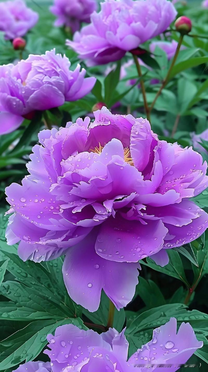 🧨辞旧迎新，雅兴满怀。诚邀各位有才之士，以笔墨寄寓新的心愿，用诗联庆贺新春到来