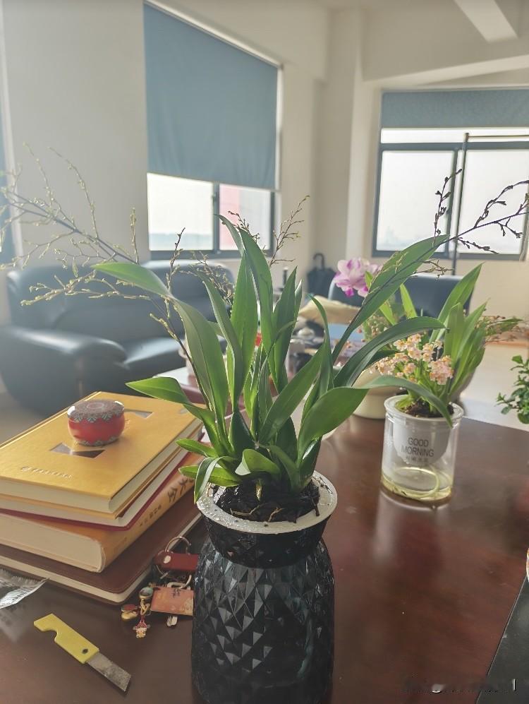 男45岁，女33岁，都离异，在同一个公司，交往几个月后，女的搬到男的家两人同居了