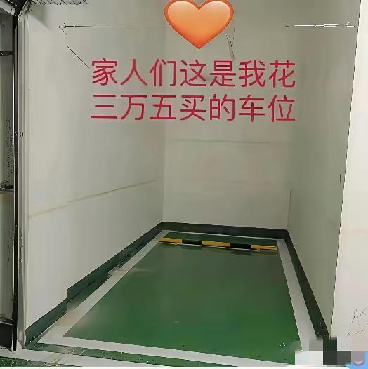 老婆图便宜，3.5万买的车库……这叫啥玩意儿啊