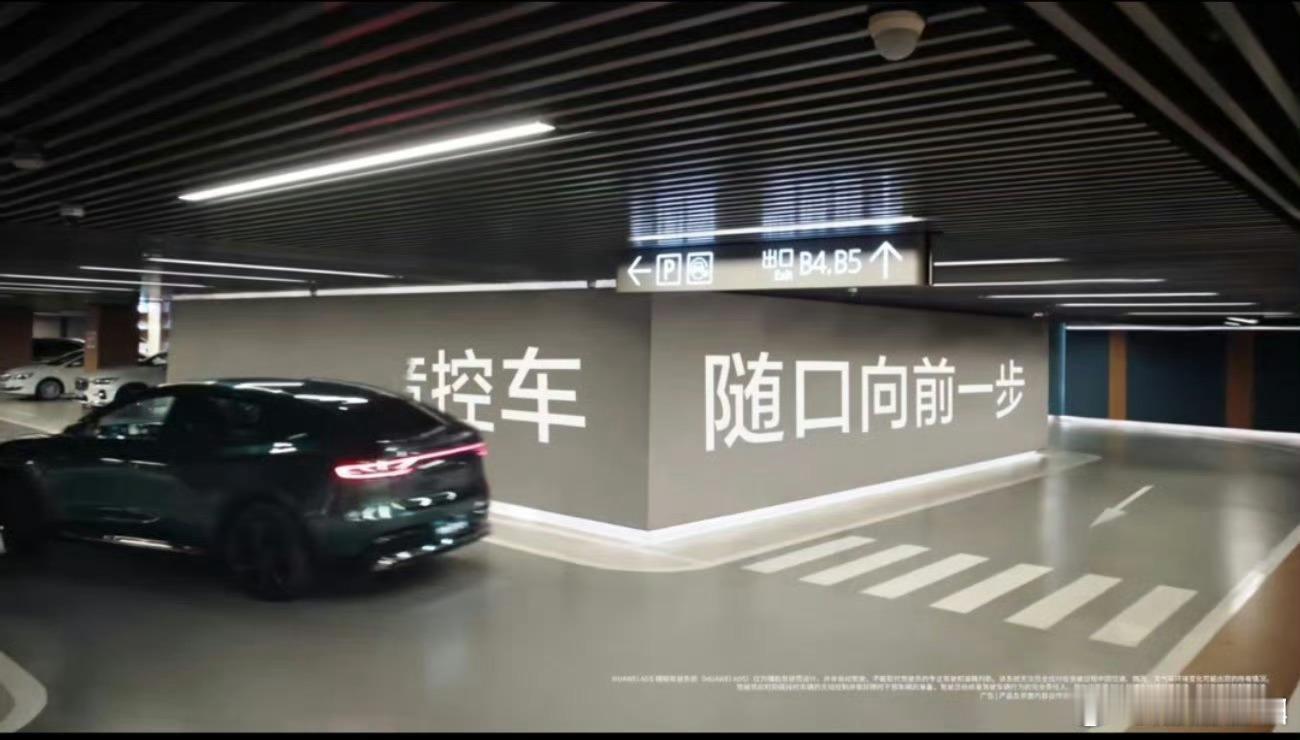 智界首发语音泊车什么！我立马围观，我是真的喜欢你们不知道对于一个经常停车停不好的