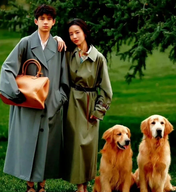 有没有发现董洁的儿子，顶顶特别像胡先煦和杨洋