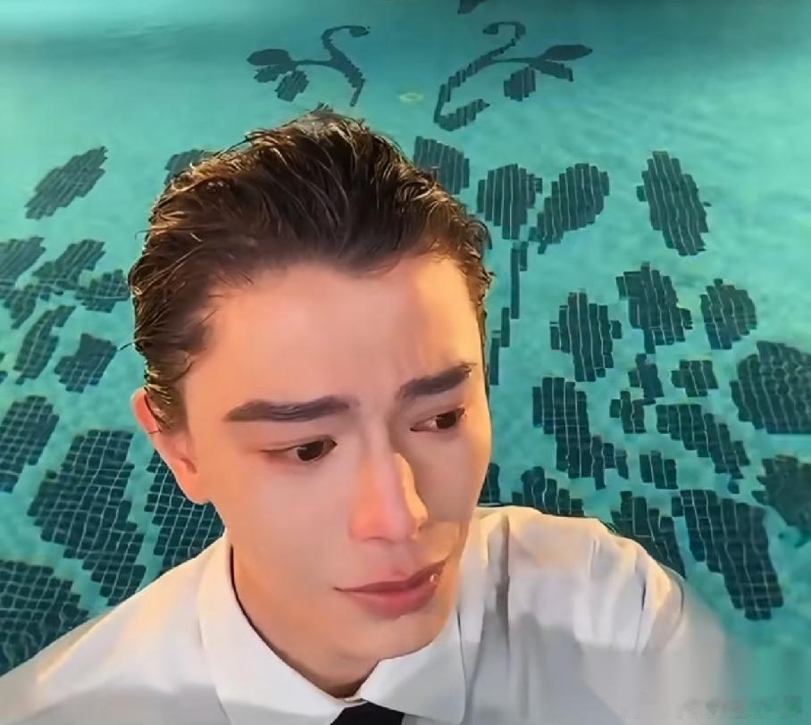 看到丁禹兮在泳池直播时大哭，才明白《南部档案》对他真的很重要。这部电视剧有原著