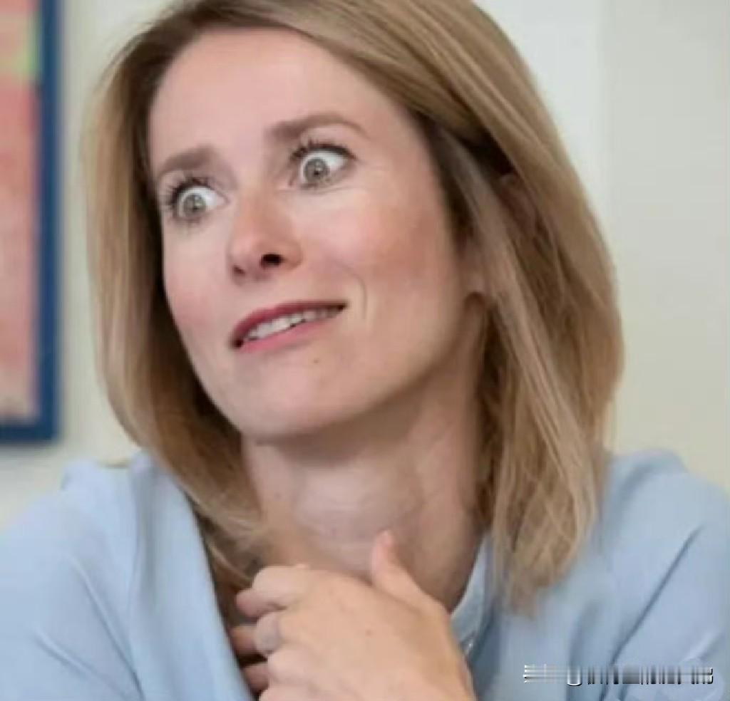 又是这个卡娅·卡拉斯！欧盟歪长卡拉斯仍在篡改二战历史。想必大家都还记得，不久前