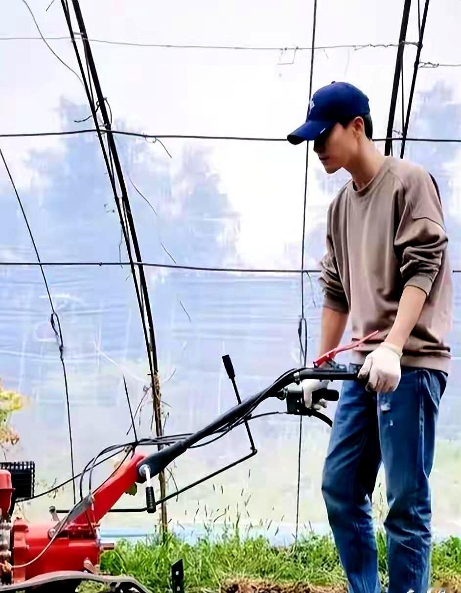 凌晨五点，马天宇弯腰钻进鸡舍，熟练地捡起上百枚还带着温热的鸡蛋。这是他在北京六环