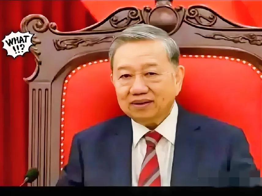 有点急了！1月20日苏林在越南大会上作报告，在40分钟的演讲中，苏林承诺2026