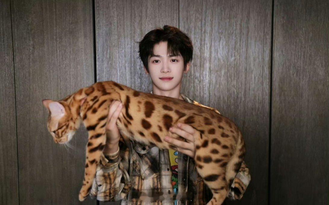 哦豁，梓渝晒出来的这个猫猫品种有点特别啊，体型也是特别的大只，都不太像小猫咪了，