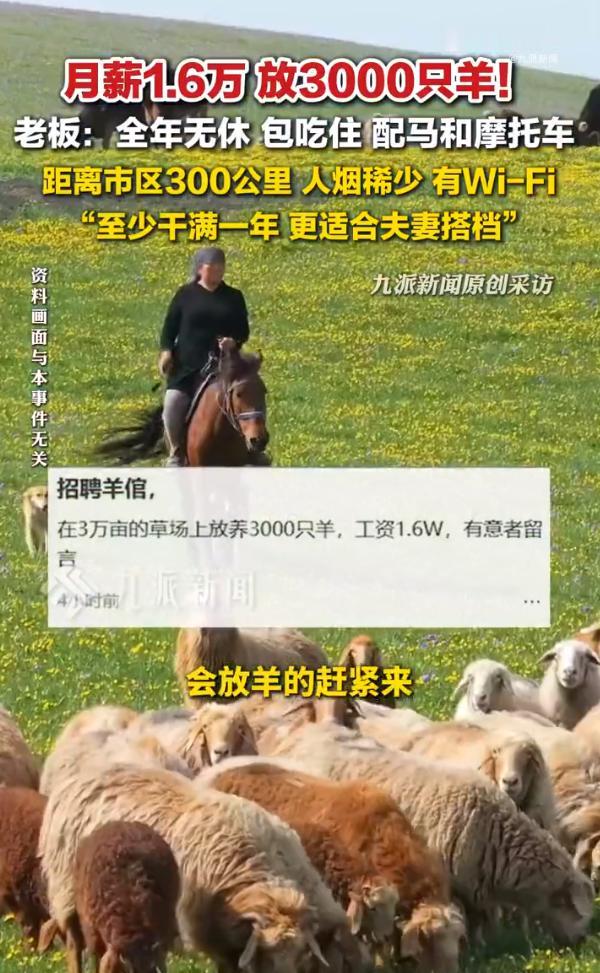 万万没想到，现在放羊都卷出高薪了！内蒙古牧区开出1万6月薪，管吃管住还有Wi