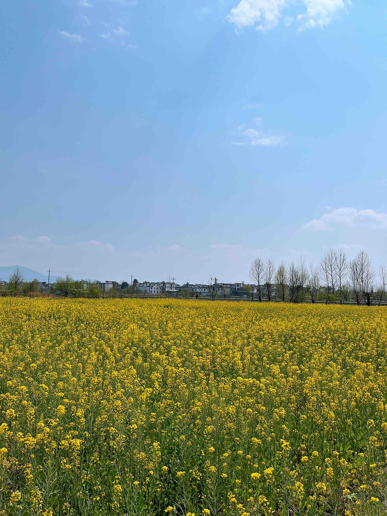 分享一张绝美的风景照片云南大理。