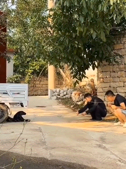 塑料袋:这俩傻子干啥呢？