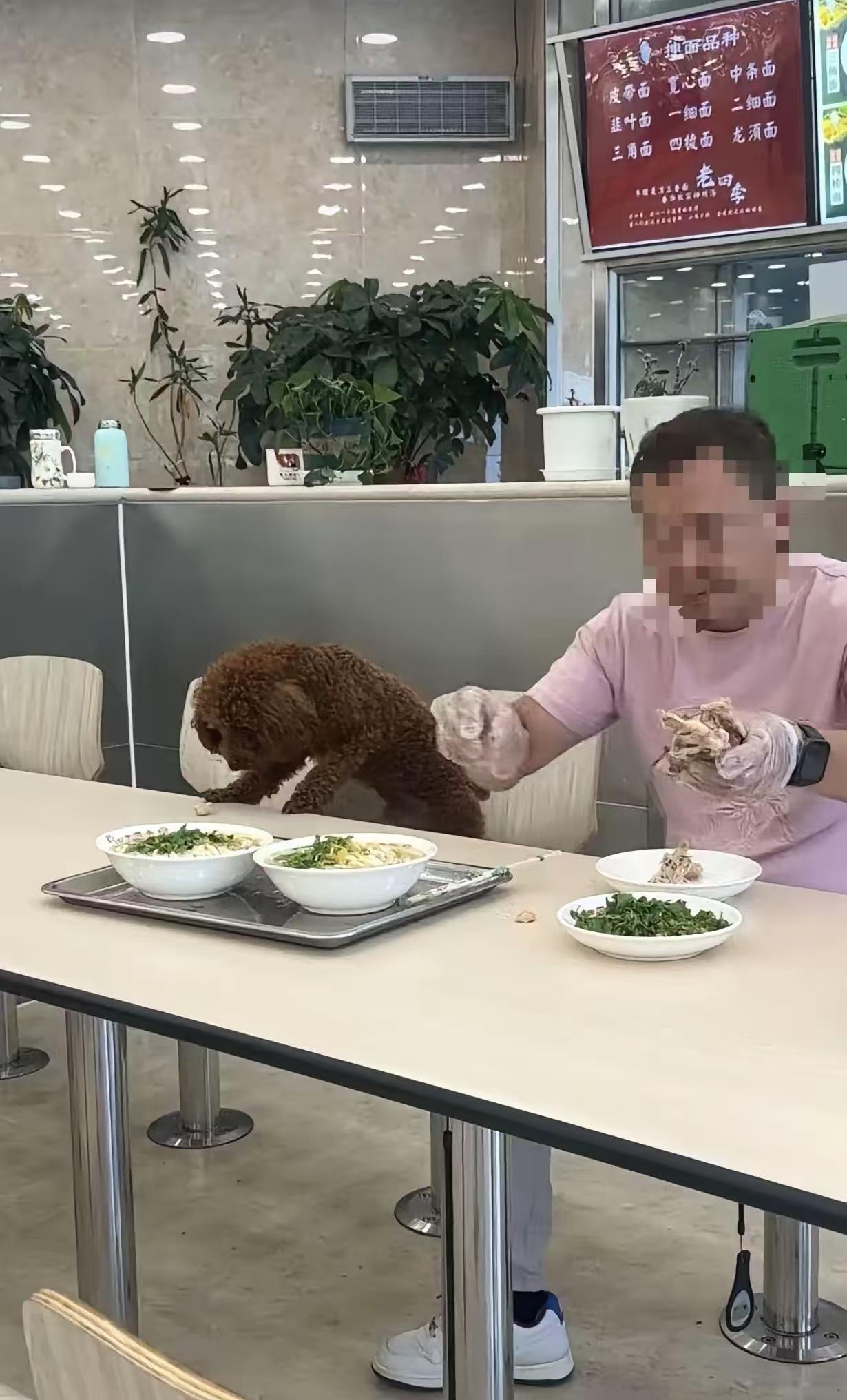 这年代，狗儿子还真不是骂人的话，发生在老四季面馆的事，现在闹的是沸沸扬扬