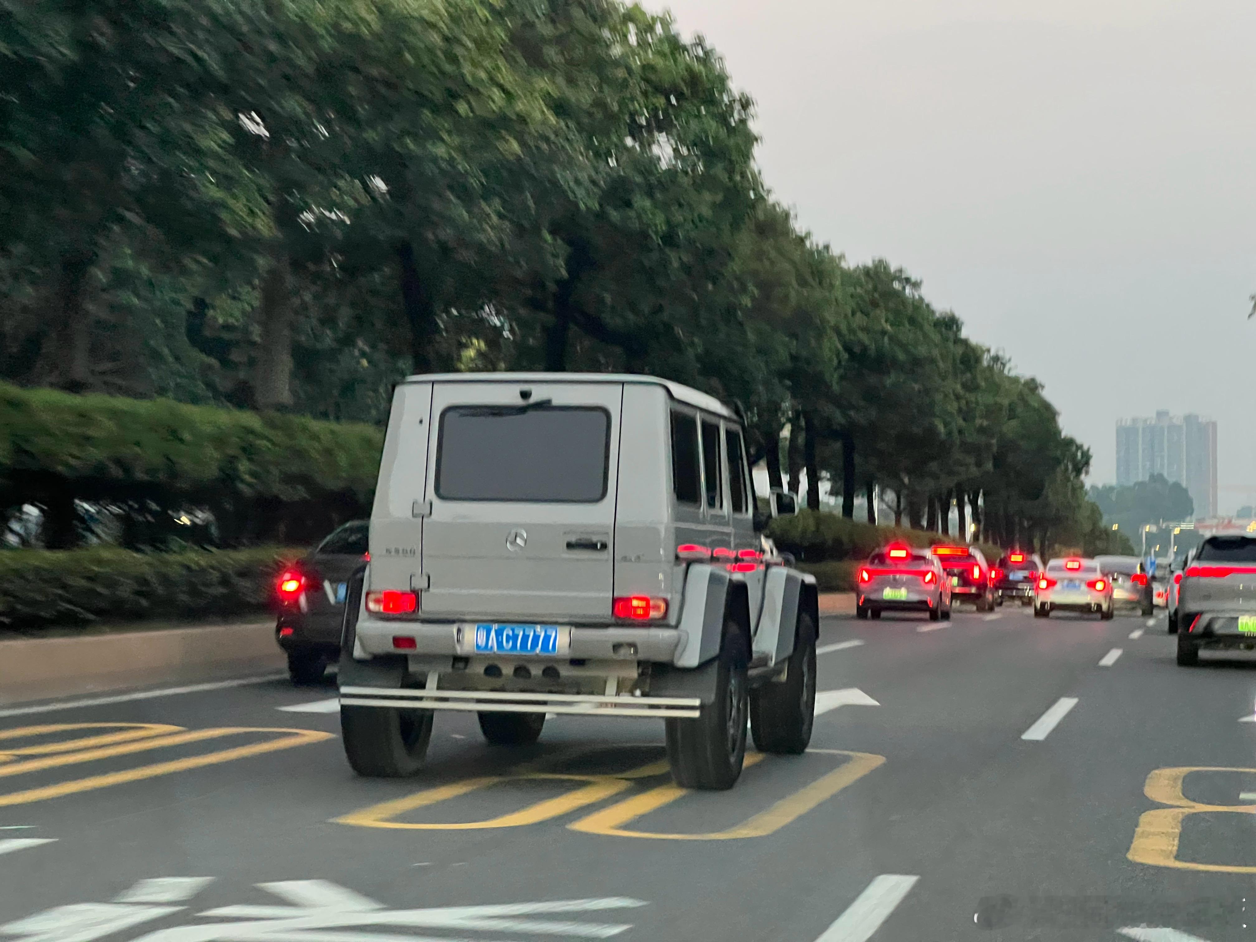 偶遇大G4x4我感觉它能骑我头上…车牌也不错​​​