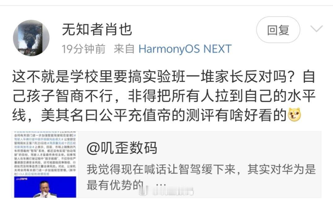 对于智驾，还是有很多人觉得是别人在拖后腿，觉得现在就可以上车睡觉的智驾​​​