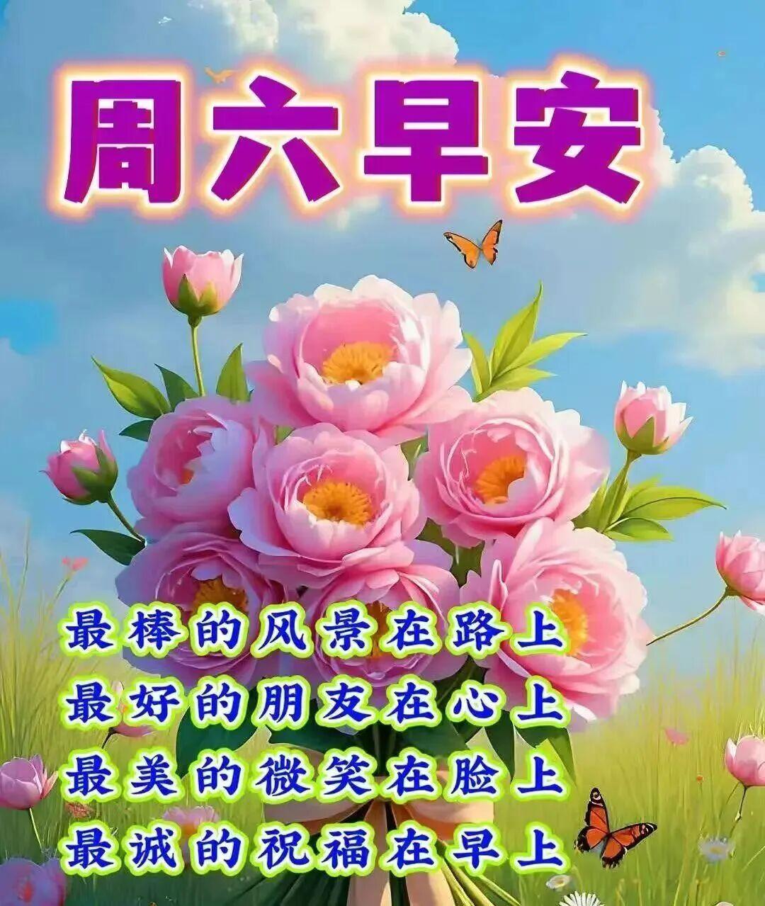 生活要尽心，也要随心，更要开心！用最美的姿态，遇见最好的自己，不问花开几许，唯愿