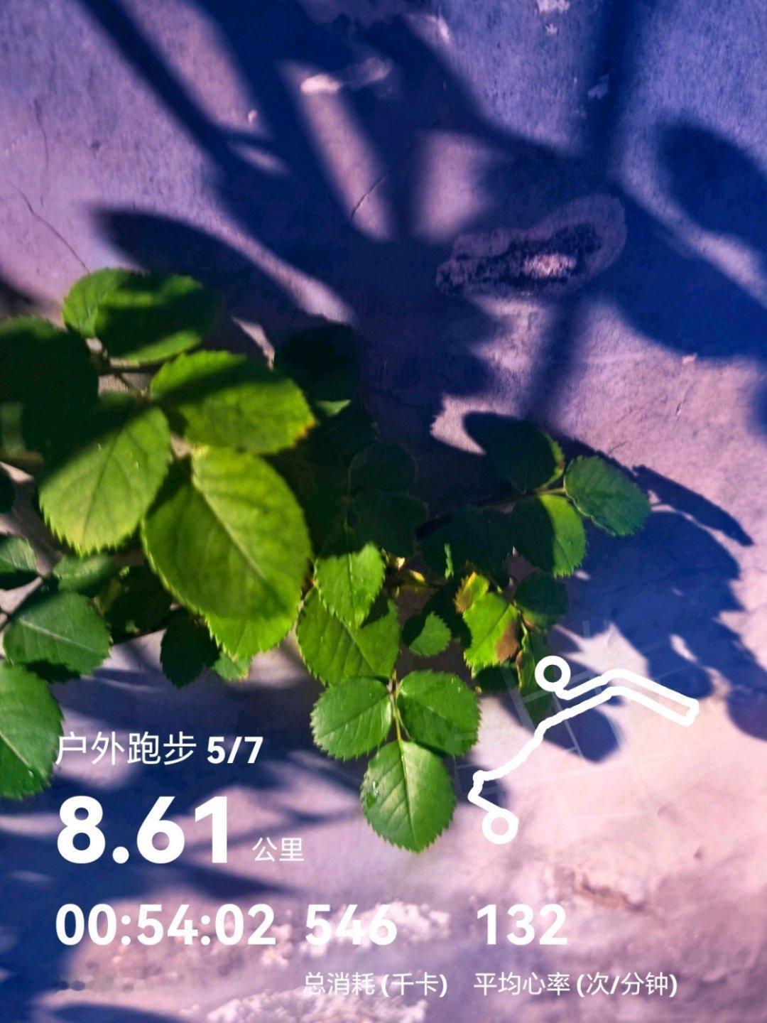 今天有点小雨，不影响跑步低心率慢跑，坚持就是胜利马年跑个马80迈腿计划