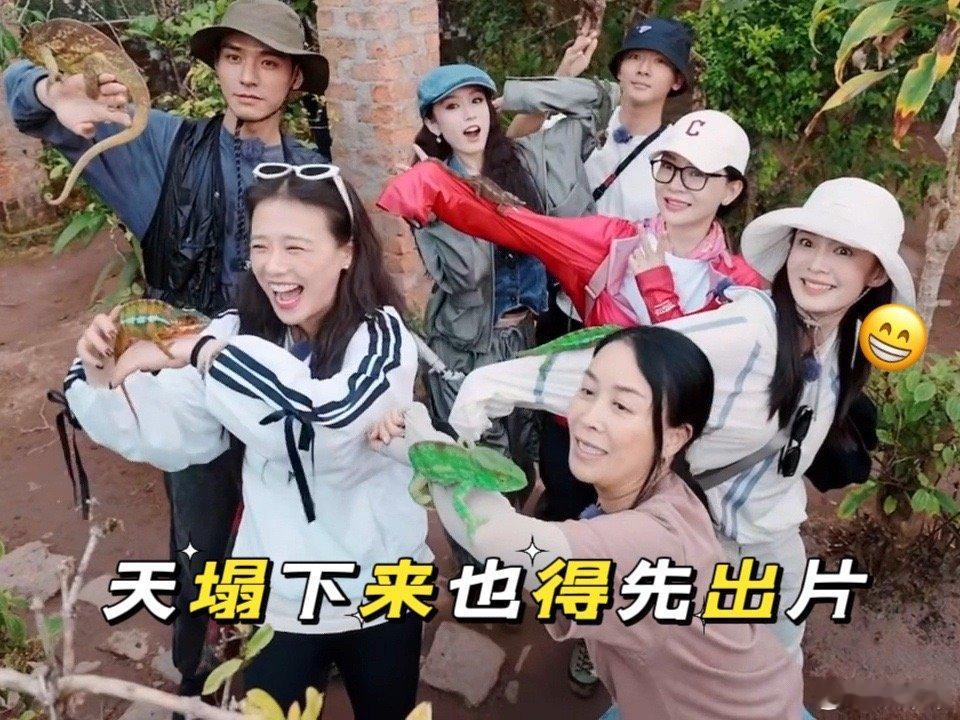 李沁天塌下来也得先出片李沁碰到异宠秒变“表情包”，惊恐都快溢出屏幕啦！但一拍照