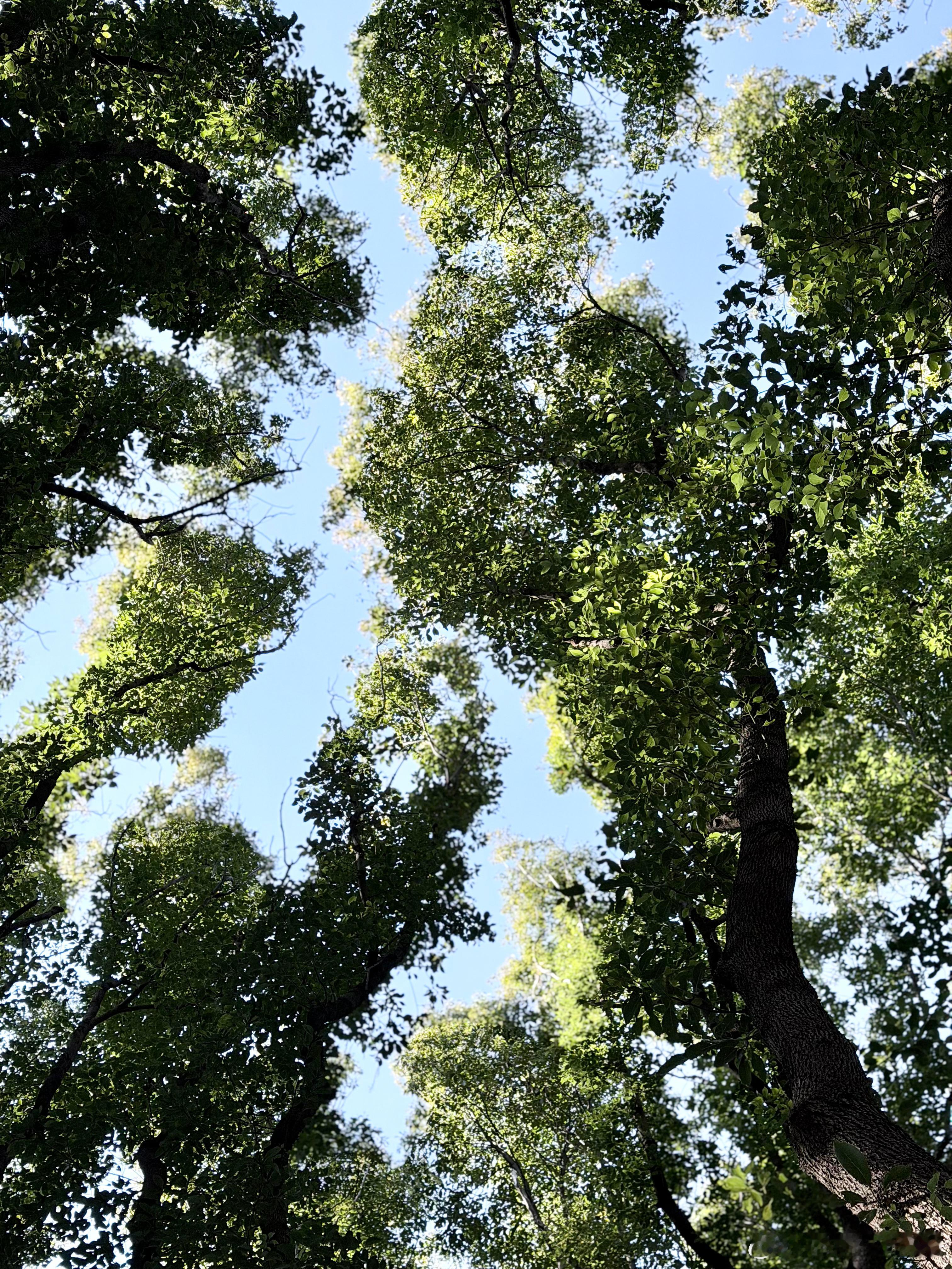 霜霜の日常碎碎念和所长上海自驾往返阳澄湖，对续航标定866km还出了名反向虚标