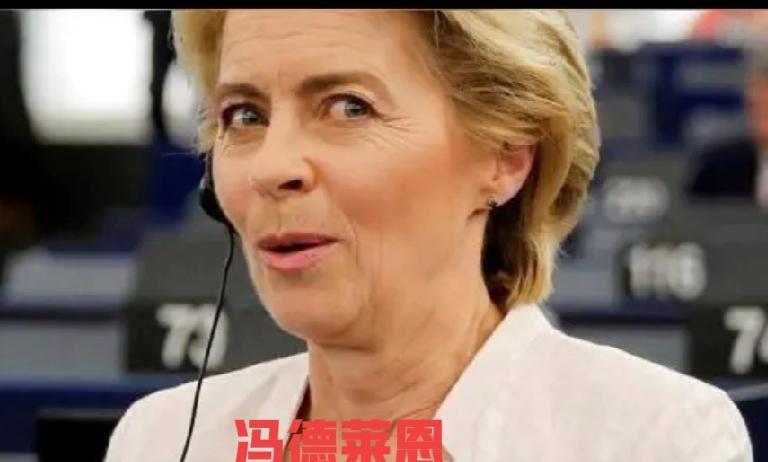这个女人要不把欧盟霍霍完蛋，就心不甘啊！一个弱小，散乱的欧盟，对美国有利，她就是