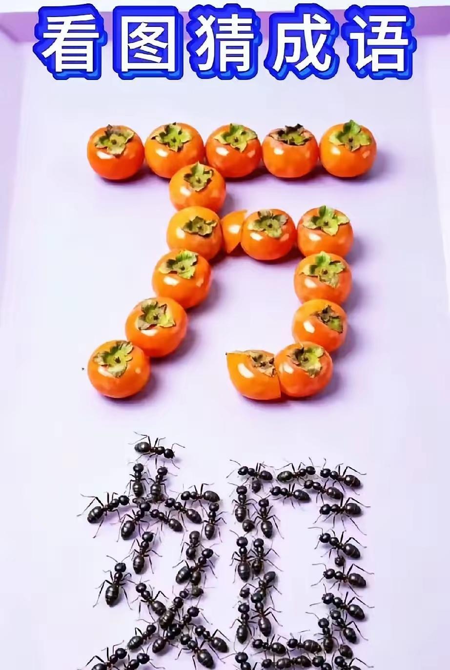 这两个字如何能组成某个图中的正确成事事如意的成语柿子摆的万字蚂蚁组成的如字