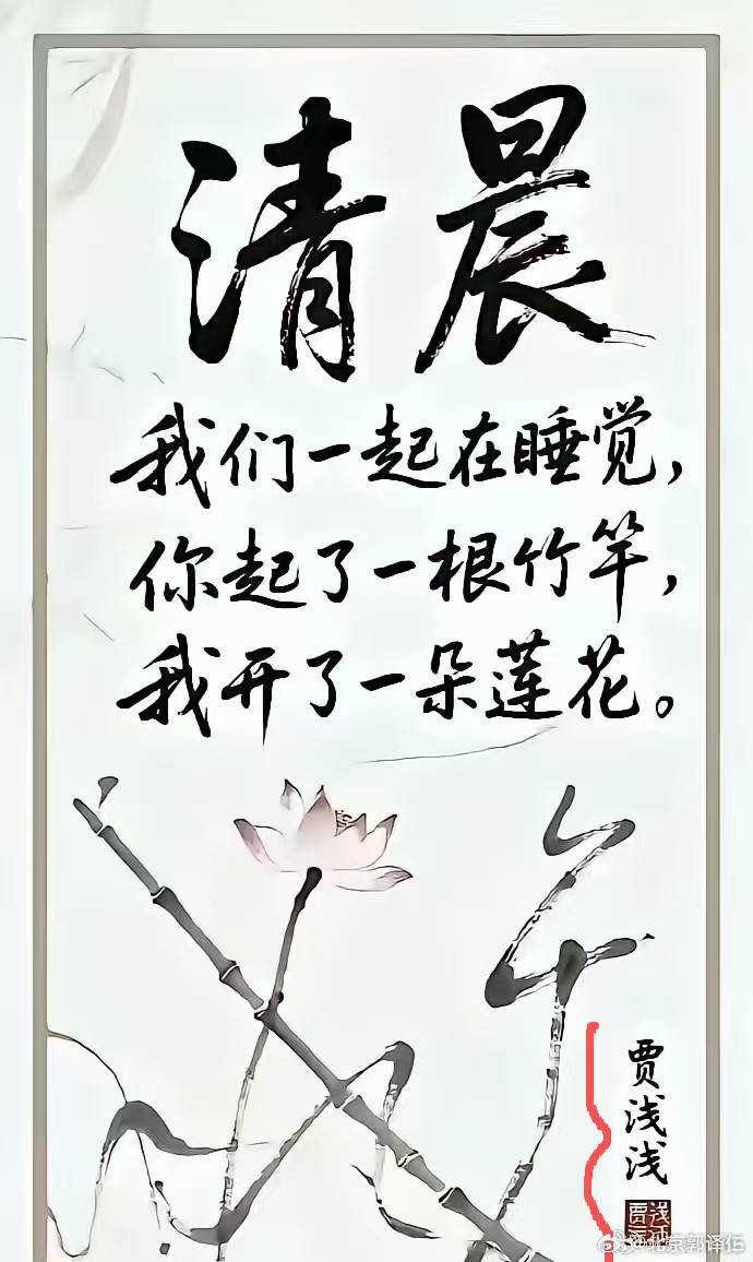 贾浅浅，女，汉族，1979年11月出生，当代作家、诗人，西北大学文学院副教授，鲁