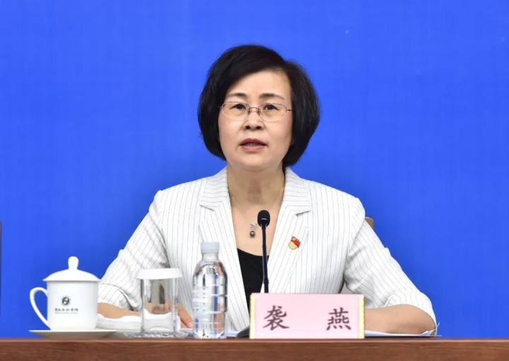 涉嫌严重违纪违法, 袭燕主动投案