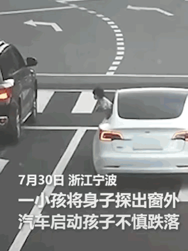 “你的违章全国人民替你买单了”浙江一路口，所有车辆都有序的等待红灯，一小孩将身子
