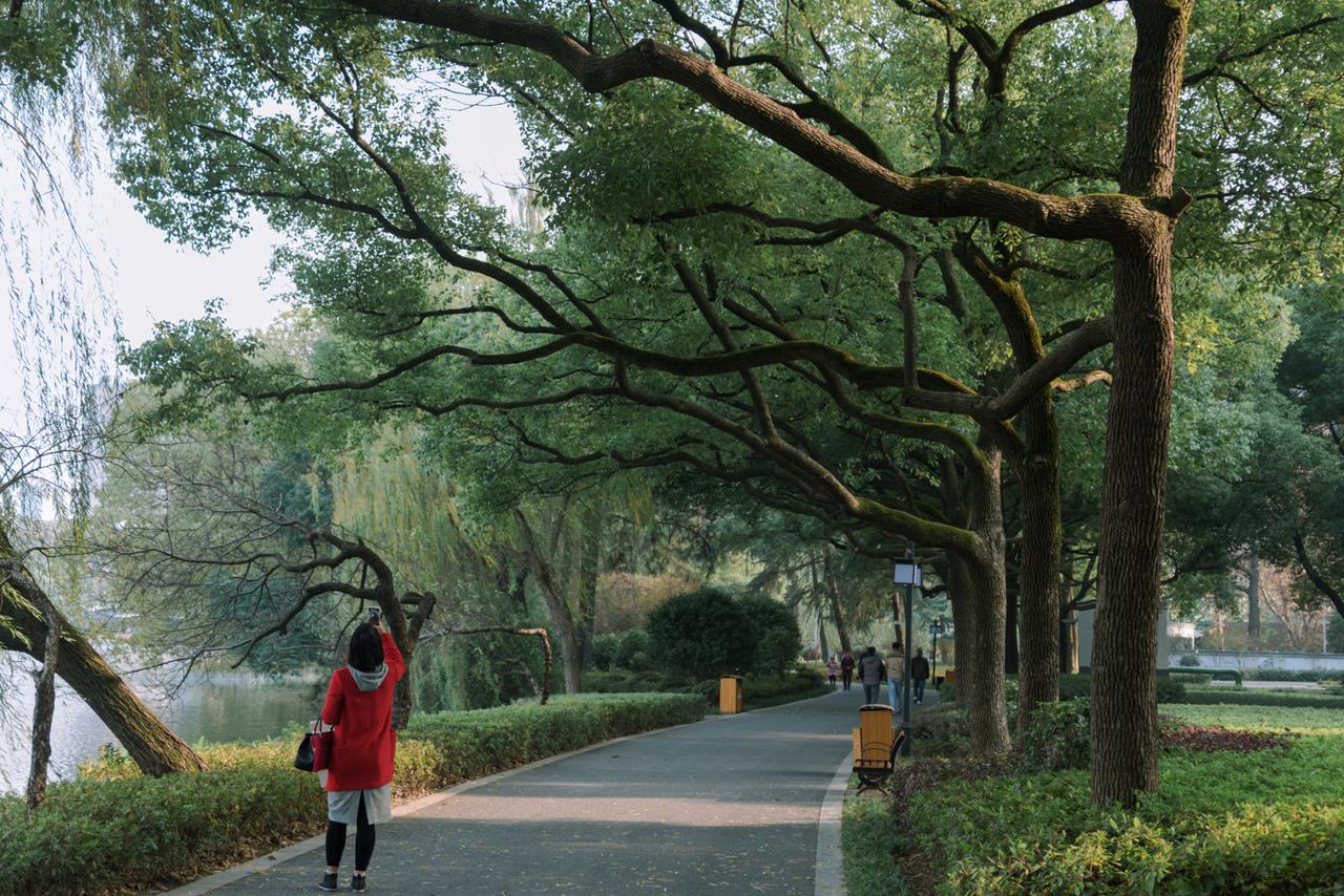 弘一法师的五句话，你悟到了几句？1.凡是你想控制的，都控制了你。当你什么都