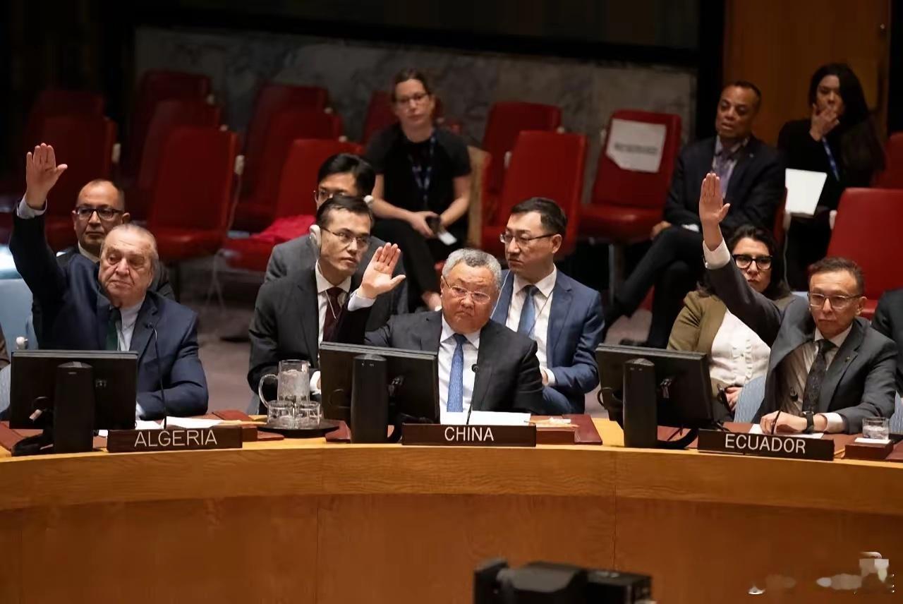 忍无可忍！东方大国两次硬刚，联合国还在装睡？咱们是真被日本和联合国气到了！为了制