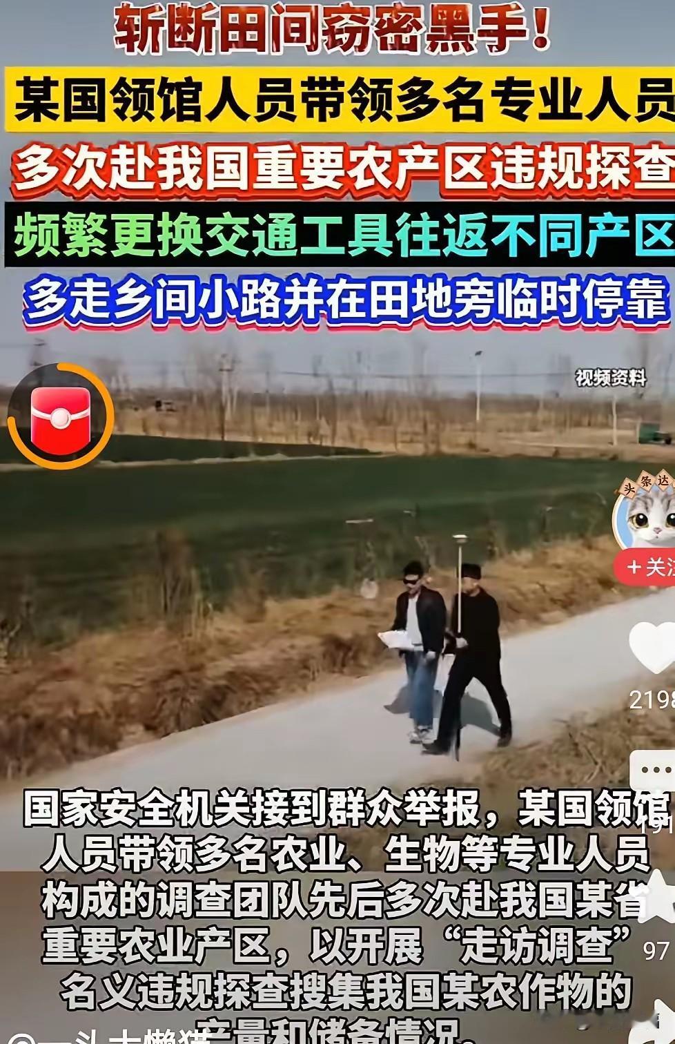 敢打我们粮食的主意，这是要动我们的根！这么明目张胆？通知下去，发现这种在田