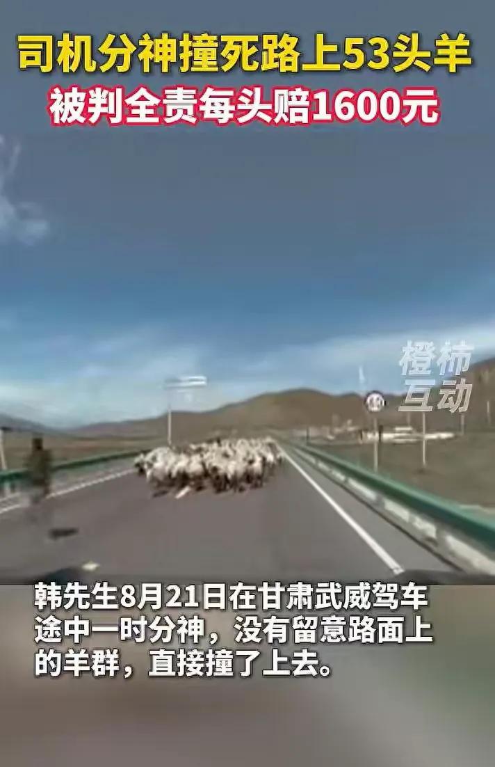 一次短暂的走神，可能带来的不仅是一场事故，更是一笔沉重的损失。近日，甘肃武威发生