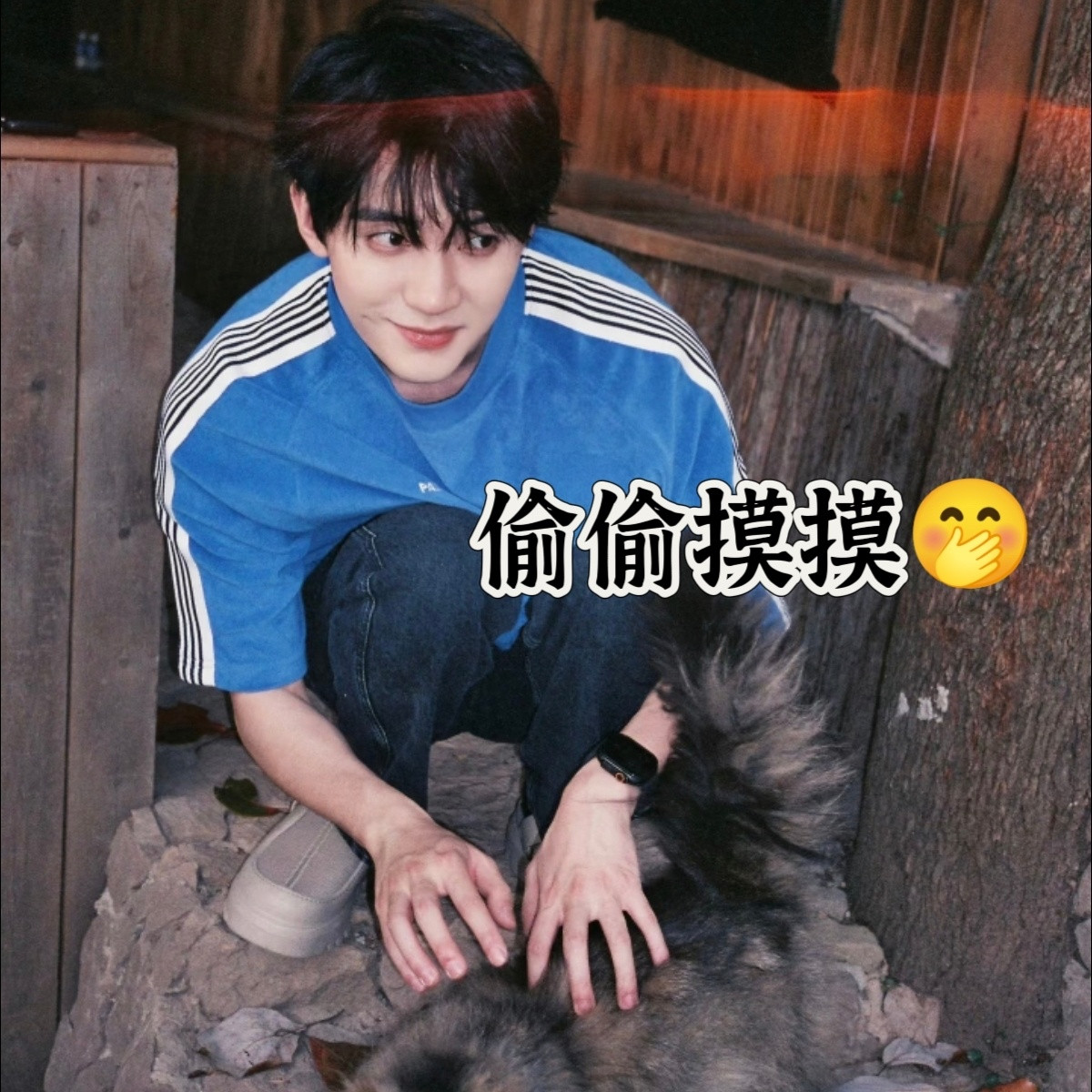 小猫吵架小猫和好完全小猫来的，无条件支持这个小猫咪