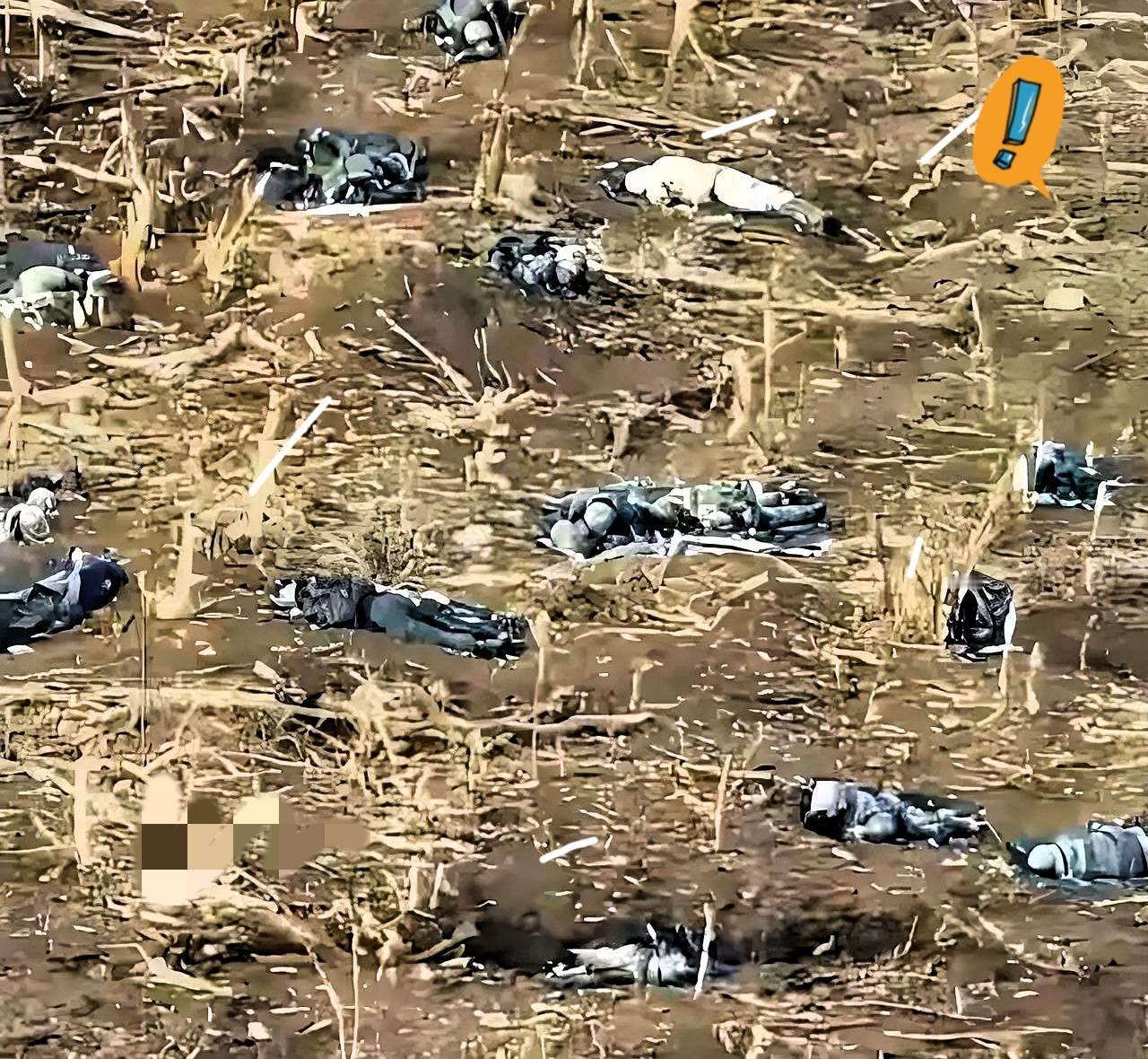 别再只看战报了!真实的俄乌战场,最扎心的是那堆没人认领的骸骨。这些遗体里哪有那