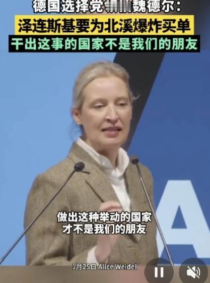 1月26日，德国选择党领袖爱丽丝·魏德尔称，“我可以明确告诉大家，待我们执掌政权
