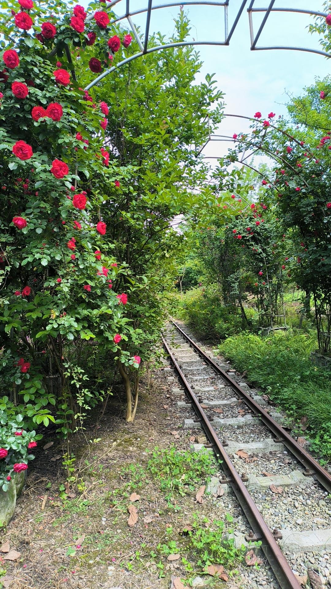我不理解。我之前上班的公司有个库房管理员老张在公司任劳任怨工作6年了，几乎天天