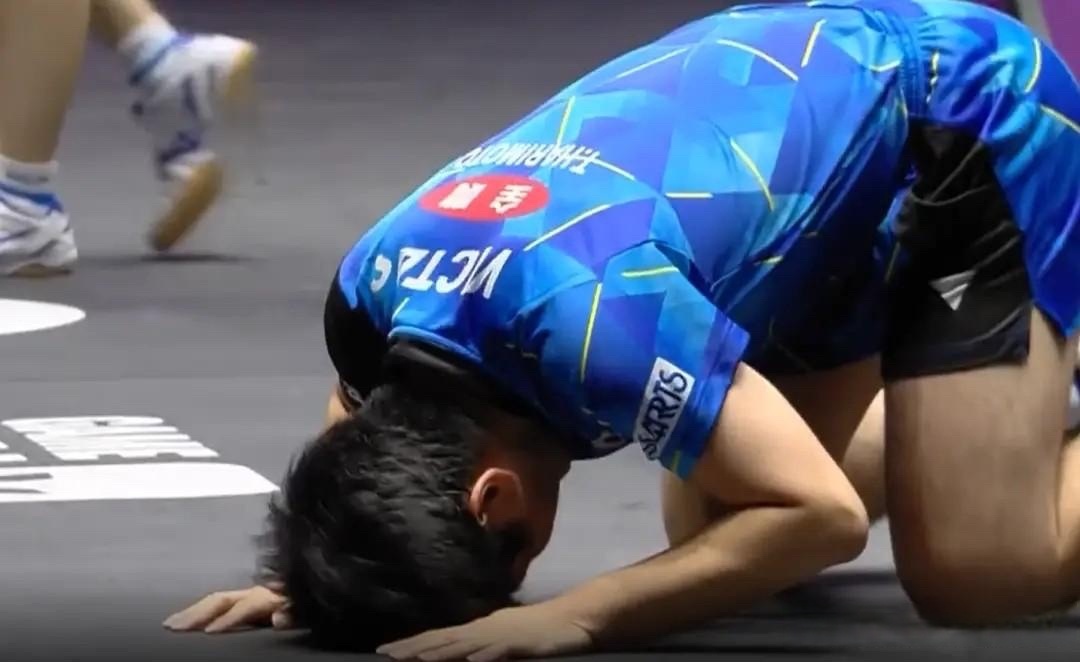 张本智和这一拜彻头彻尾的走狗汉奸了，这种行为在过去就要诛九族了，打球就打球非要去