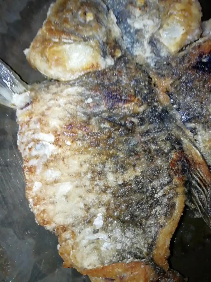 15038030916144198162.jpg?id=0