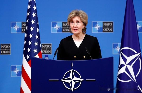 美国前驻北约大使哈奇森把话说得很直：中国的陆海空军加上导弹核力量，现在跟它直接开