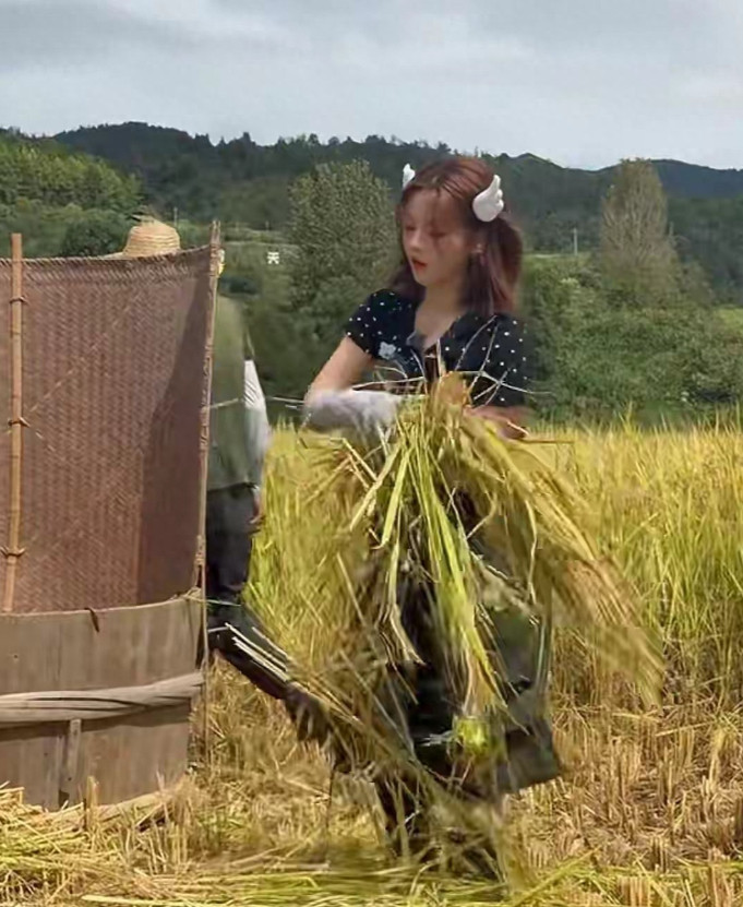 娱乐八卦最近，杨超越在综艺《非来不可》里打谷子的视频，直接被圈粉了，这哪是明星
