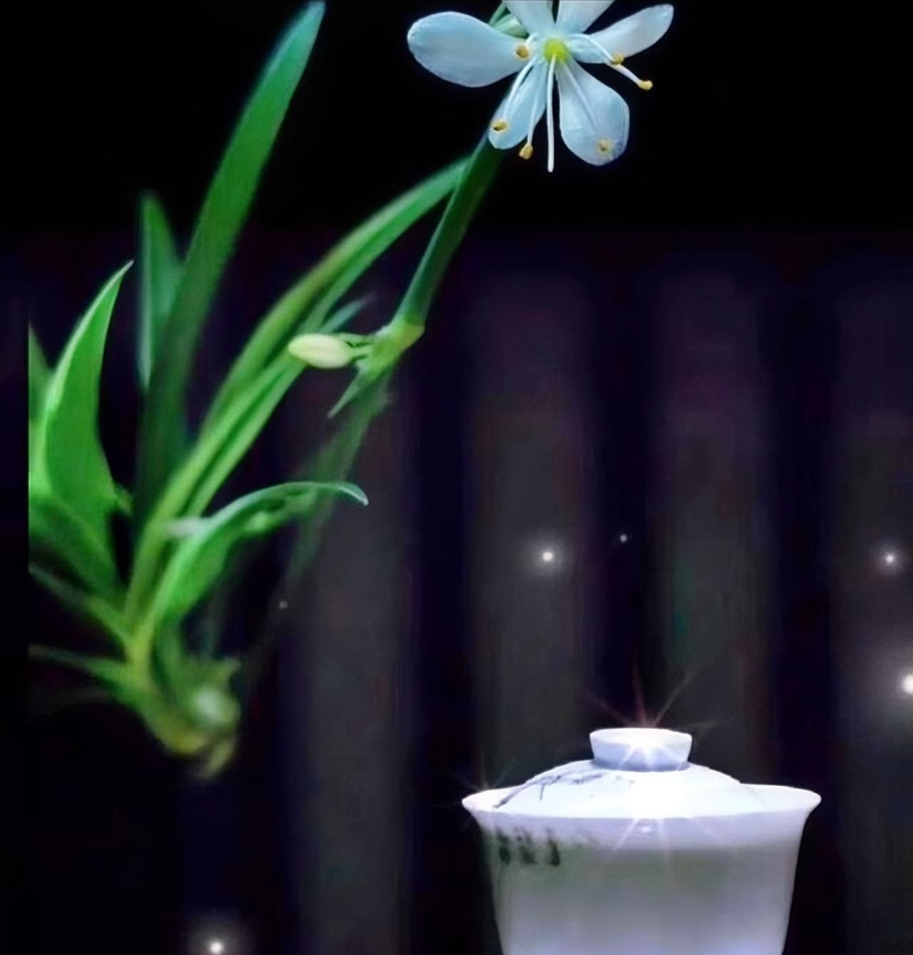 有段话是这么说的：“自私的人很少自卑，无知的人很少敬畏，招人烦的人很少不开心，反