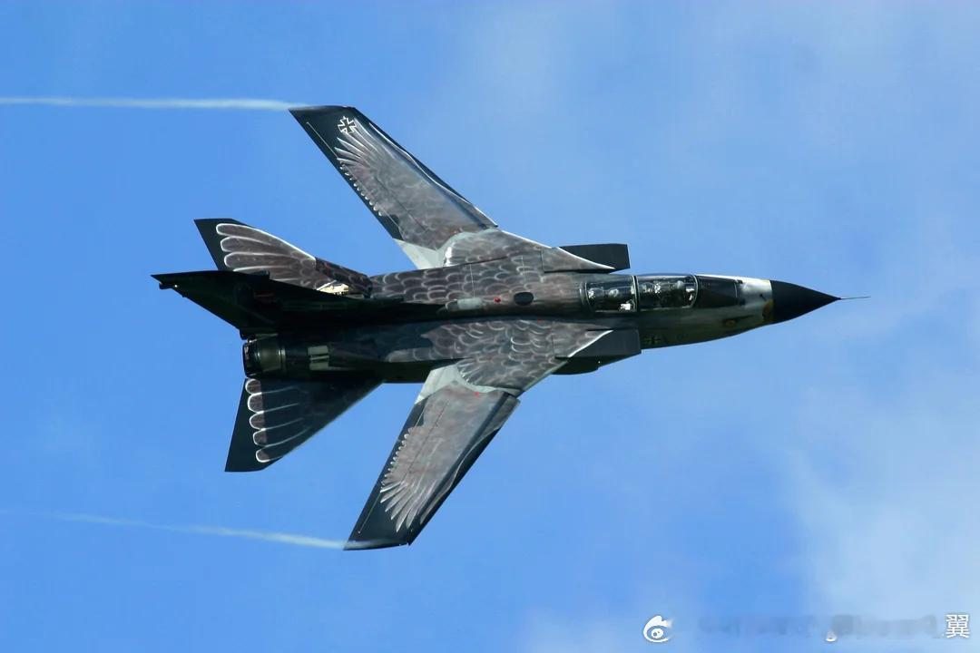 德国空军狂风IDS2010年时庆祝该机型积累150000飞行小时的老鹰涂装​