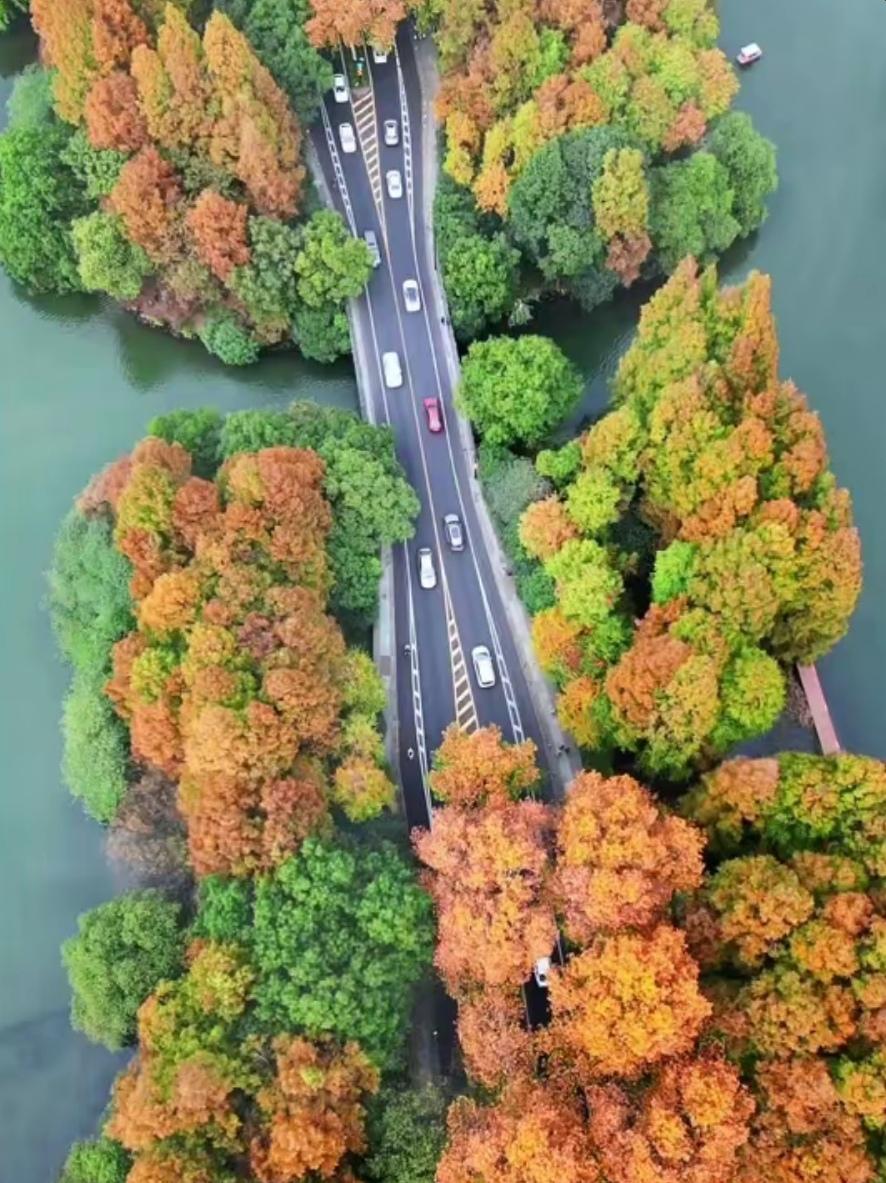 微文：补胎三哥退休了。退休头个月，三哥足不出户，吃了睡睡了吃，一天两餐酒不用菜