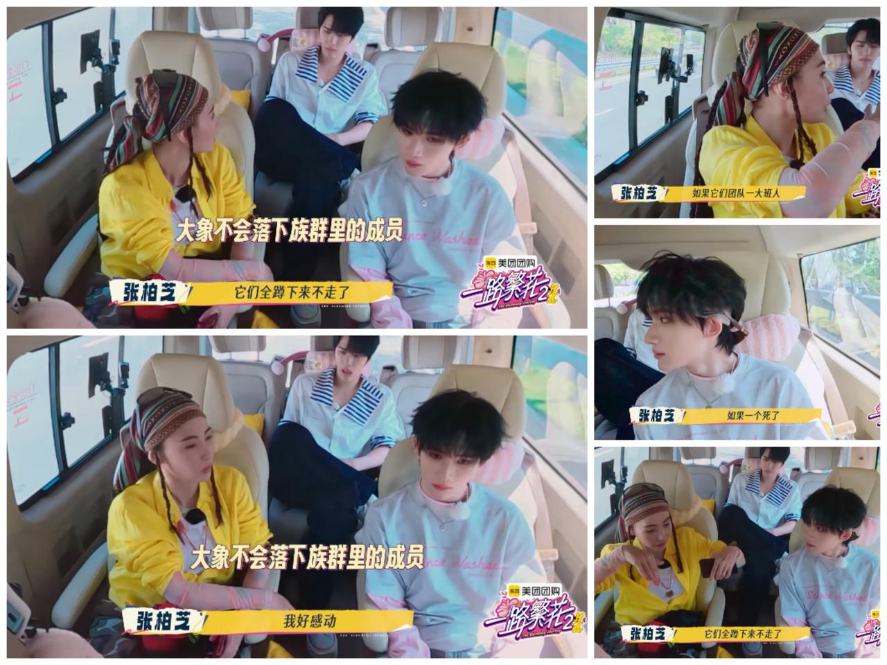 张柏芝这样一说，网友就是知道她为何会为了原生家庭牺牲那么多。全网都知道张