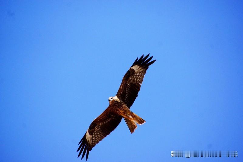 努力才能越幸运：其实在这个躺平的时代，你稍微努力一下，应该就能超越很多人。很
