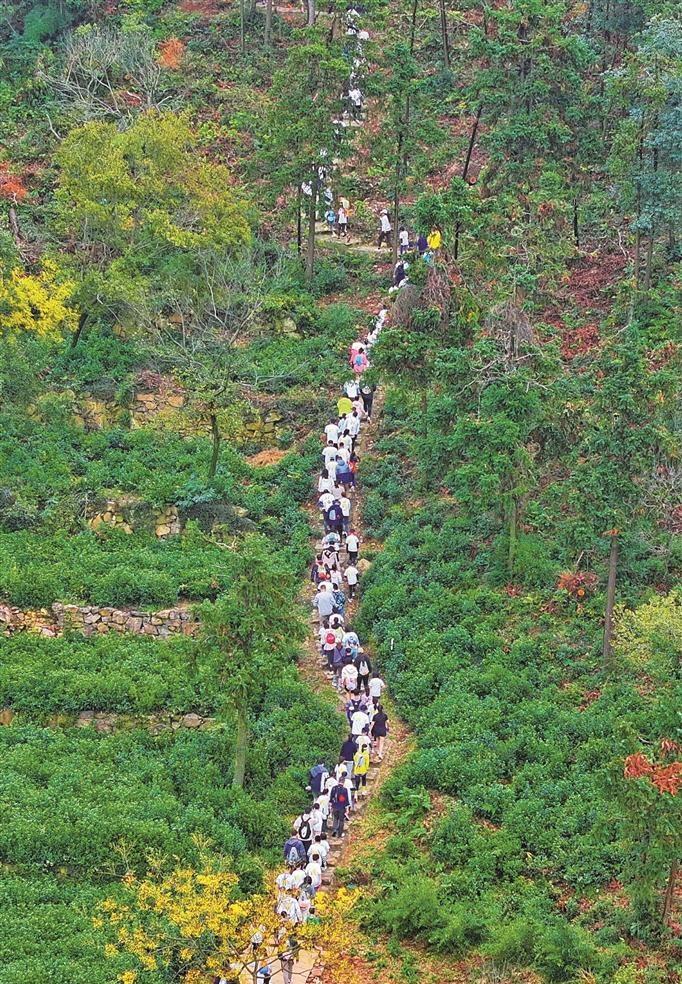 无锡状元古道✨徒步还能沾“学霸气”！谁懂啊！无锡这条免费古道🍃也太适合秋