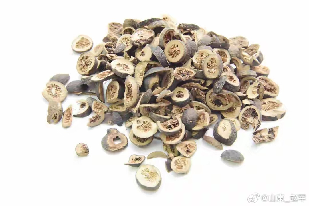 药角——藿香、枳实、莱菔子与风痰扰动之（小儿）肝风介绍由藿香、枳实、莱菔子组成角