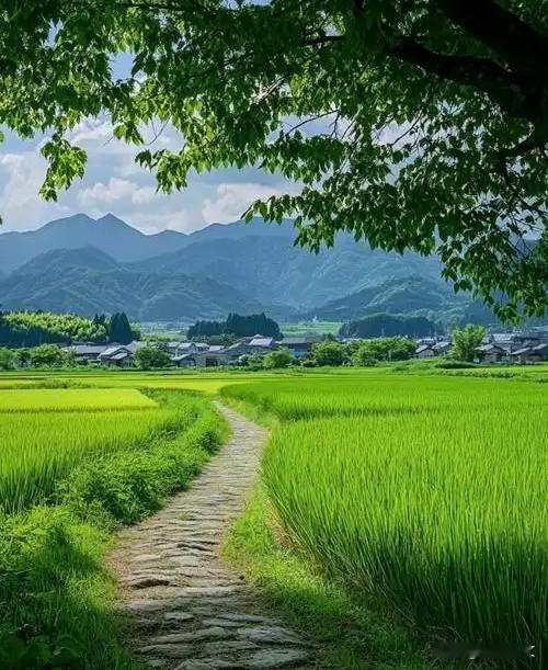 晚年想回村盖房养老？先别冲动！这三件事想清楚再动身谁不想晚年逃离城市的