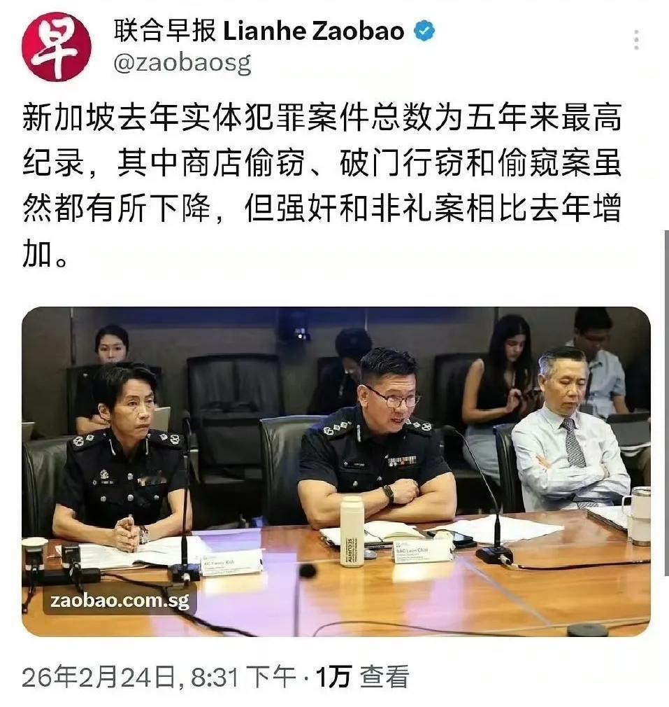 印度三哥说，新加坡是世界上最美好的城市。但是随着印度人的增加，新加坡的犯罪案件