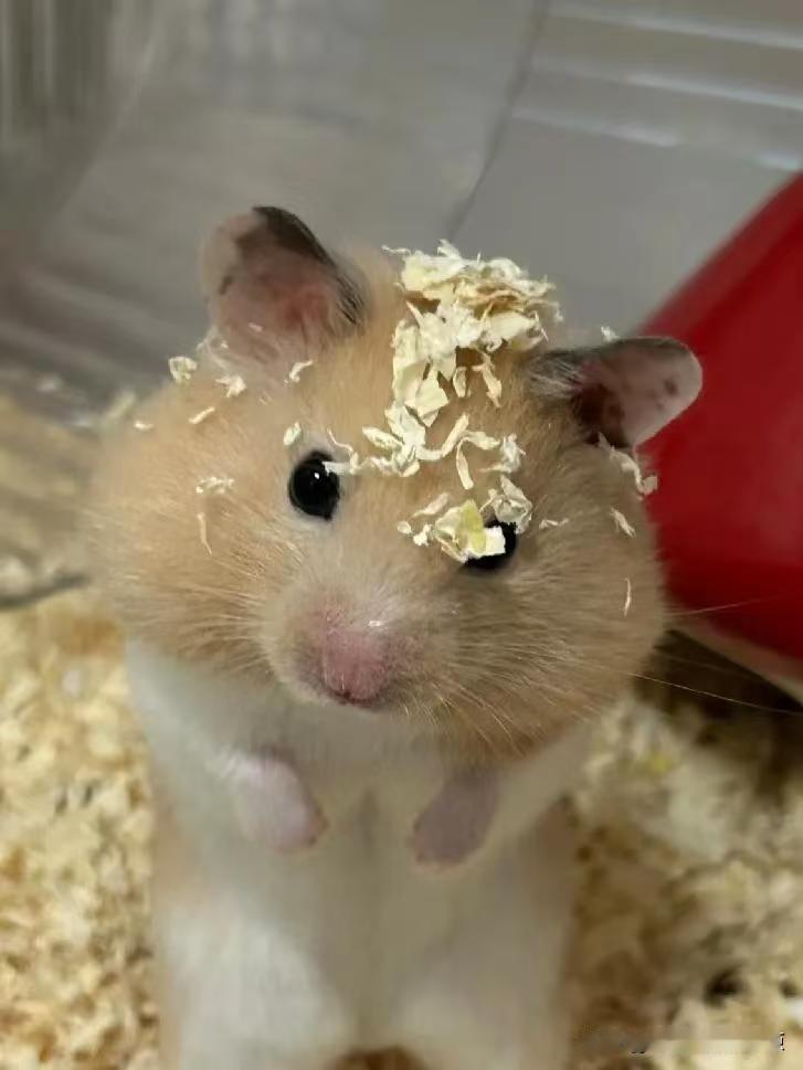 万万没想到，闲鱼卖东西，买一还送24，这究竟是亏了还是赚了？一小姐姐发帖声称